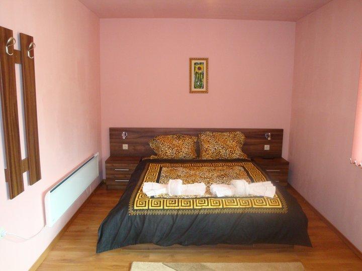 Tzvetelina Palace Hotel Dolna Banya Chambre photo