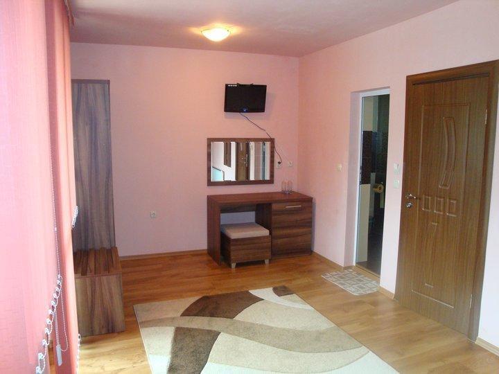 Tzvetelina Palace Hotel Dolna Banya Extérieur photo
