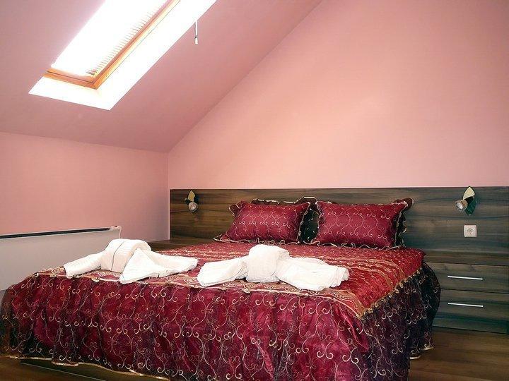Tzvetelina Palace Hotel Dolna Banya Chambre photo