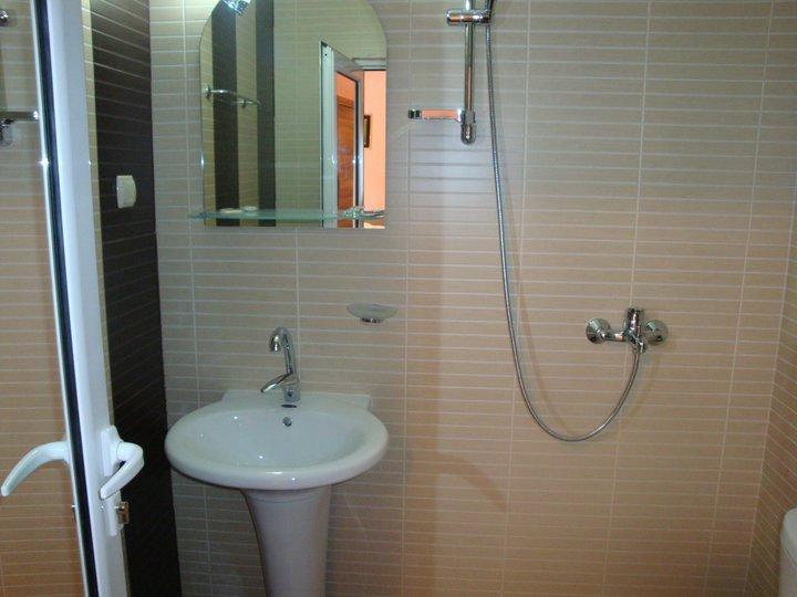 Tzvetelina Palace Hotel Dolna Banya Extérieur photo