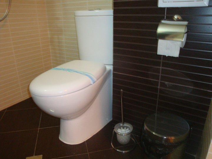 Tzvetelina Palace Hotel Dolna Banya Chambre photo