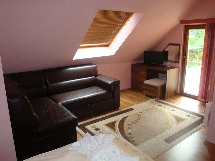 Tzvetelina Palace Hotel Dolna Banya Chambre photo