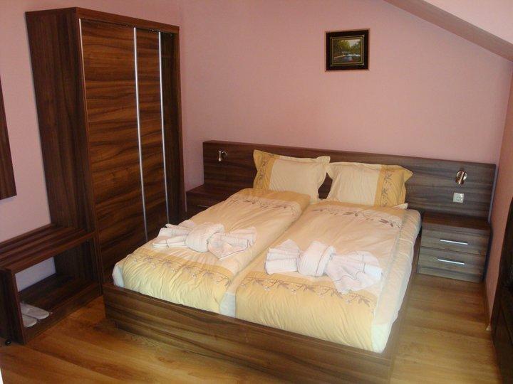 Tzvetelina Palace Hotel Dolna Banya Chambre photo