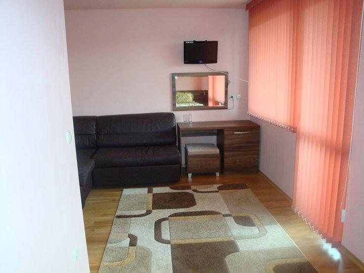 Tzvetelina Palace Hotel Dolna Banya Chambre photo