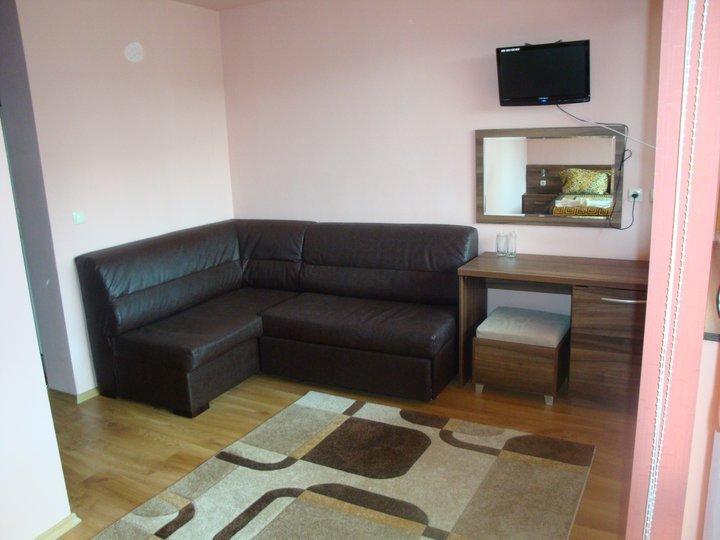 Tzvetelina Palace Hotel Dolna Banya Extérieur photo