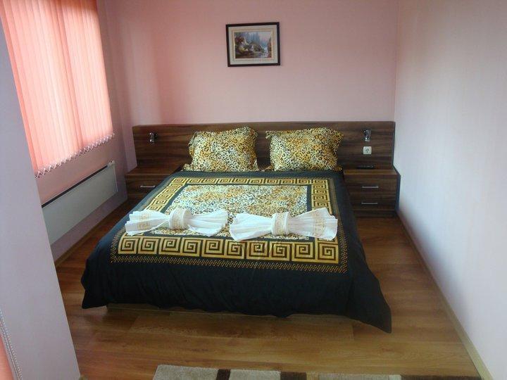 Tzvetelina Palace Hotel Dolna Banya Extérieur photo