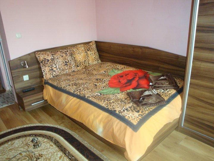 Tzvetelina Palace Hotel Dolna Banya Chambre photo