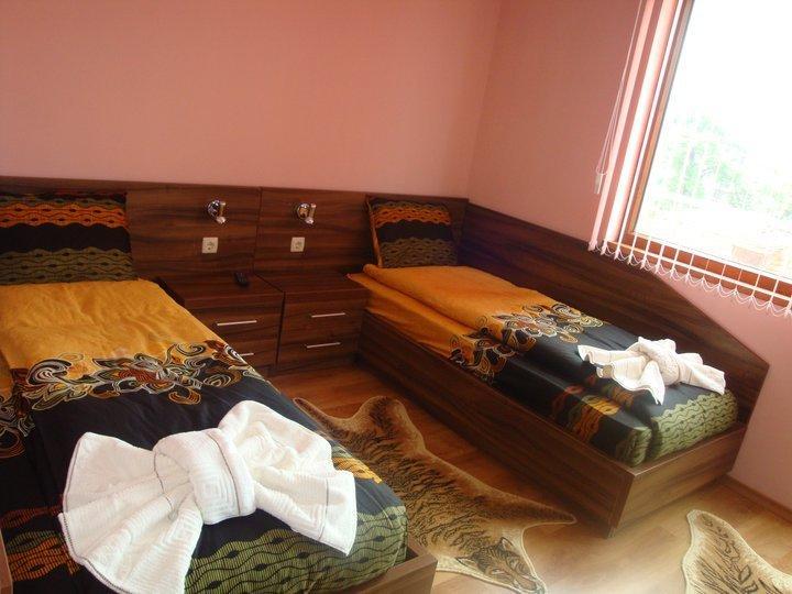 Tzvetelina Palace Hotel Dolna Banya Chambre photo