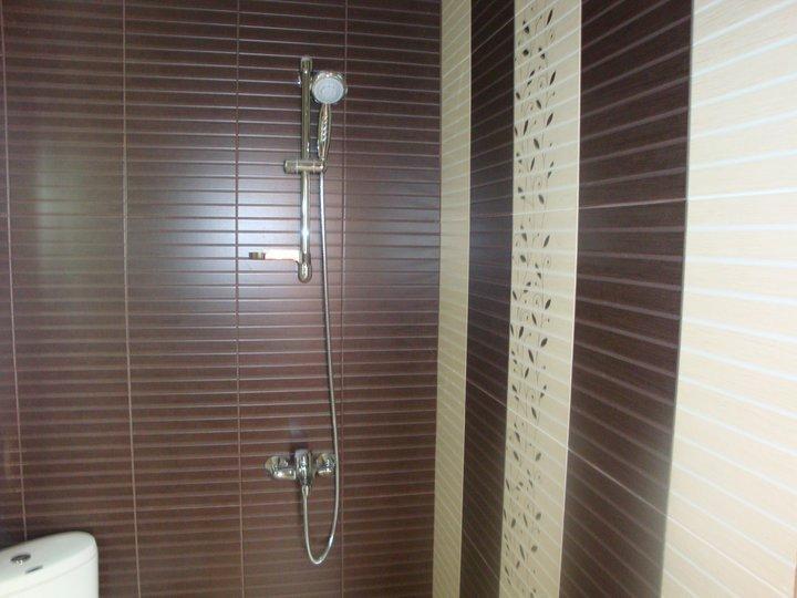 Tzvetelina Palace Hotel Dolna Banya Extérieur photo