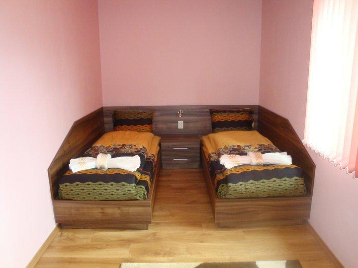 Tzvetelina Palace Hotel Dolna Banya Extérieur photo