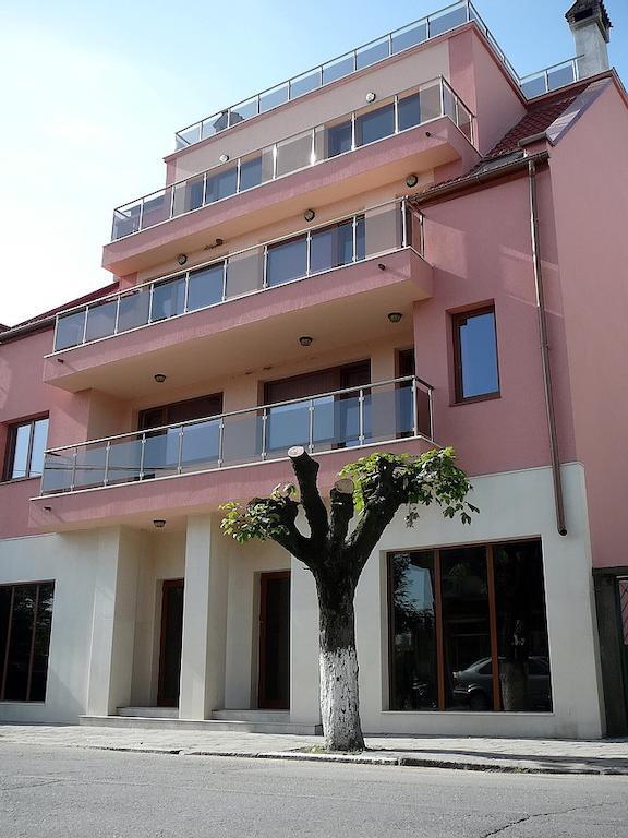 Tzvetelina Palace Hotel Dolna Banya Extérieur photo
