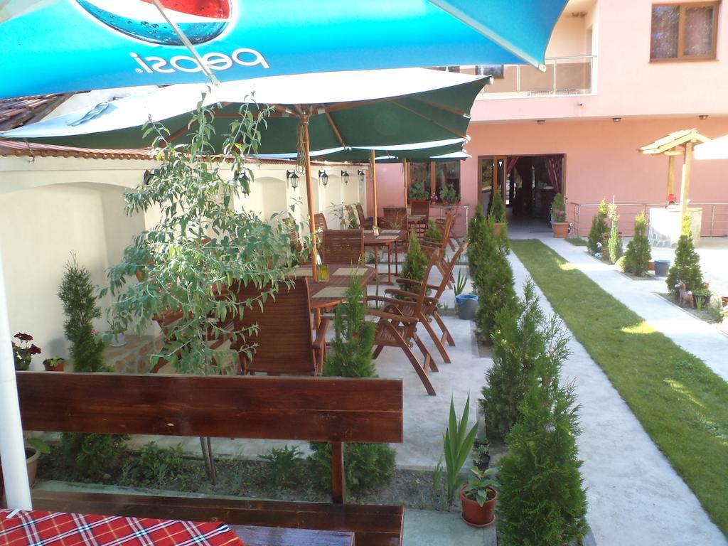 Tzvetelina Palace Hotel Dolna Banya Extérieur photo
