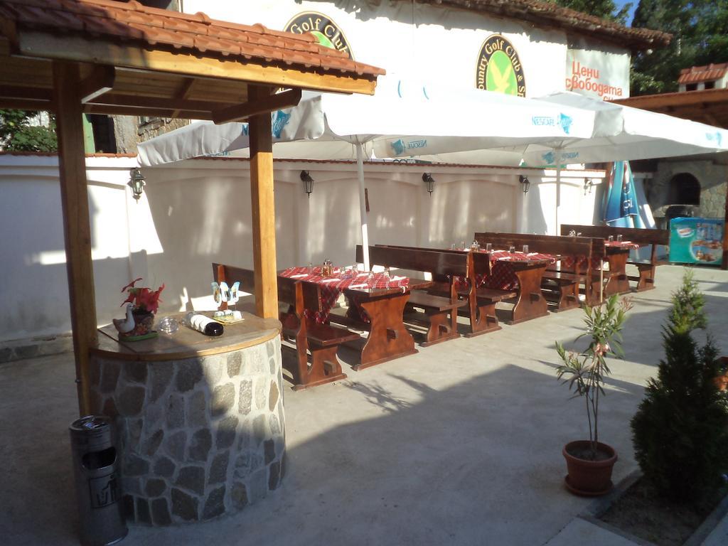 Tzvetelina Palace Hotel Dolna Banya Extérieur photo